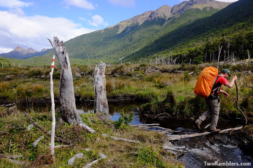 Branch to cross a stream, trek on Isla Navarino