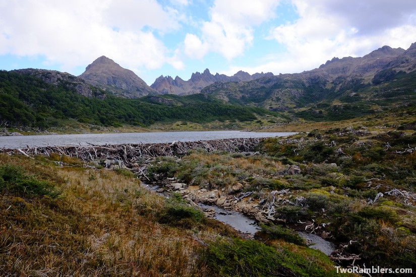 Beaver dam, Isla Navarino