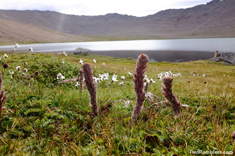 Laguna Betinelli, Isla Navarino