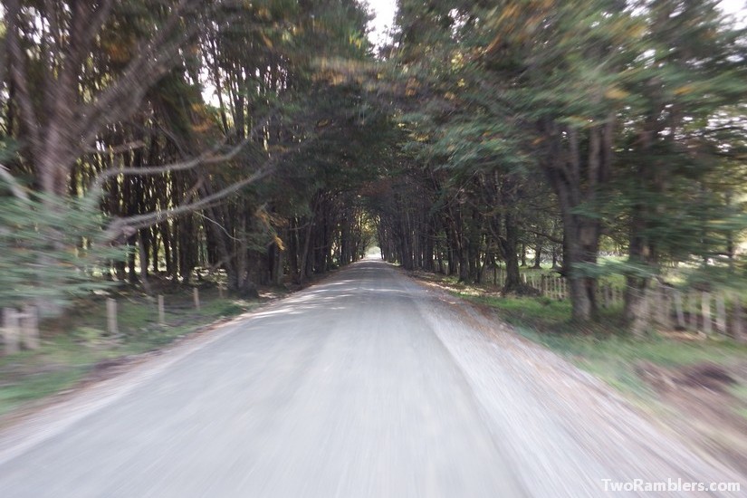 Forest road , Carretera Austral, Chile