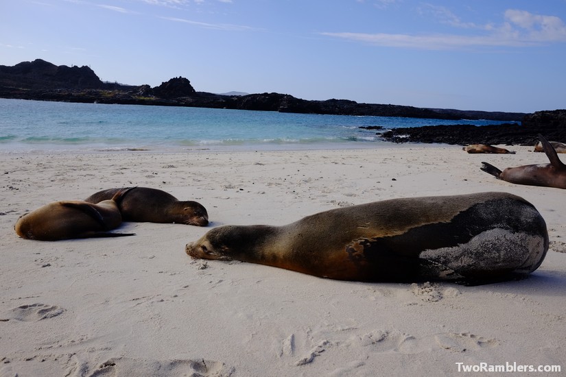 On the Galapagos Islands