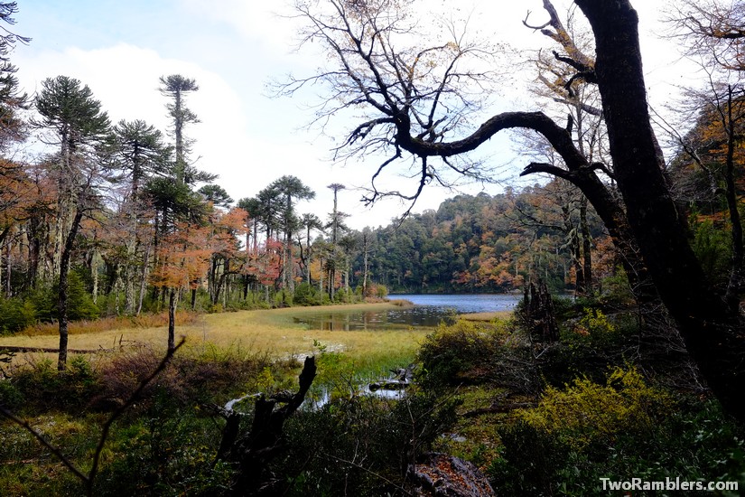 Huerquehue National Park, Chile