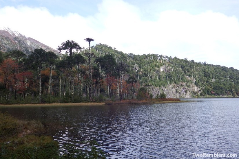 Huerquehue National Park, Chile