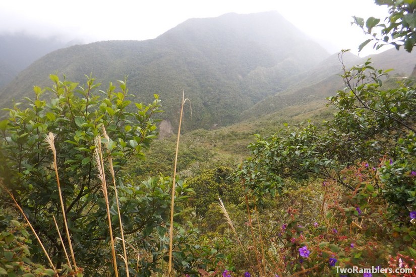 Podocarpus National Park, Ecuador