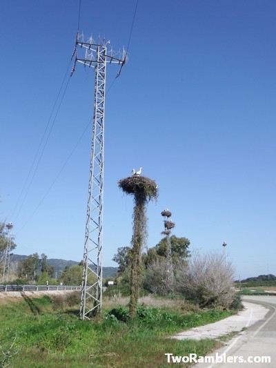 Stork nests, Andalucía