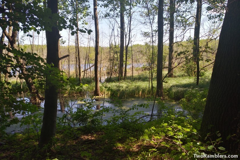 Langer Haussee, Brandenburg