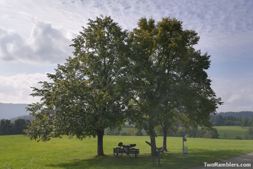 resting under two trees