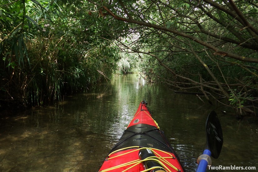 kayak in a narrow stream